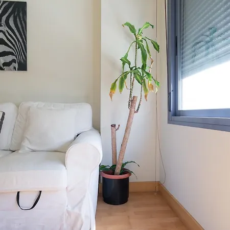 Appartement Lu&cia Central 2 Málaga